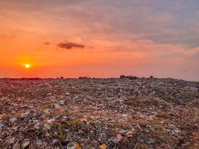 Vuilstort in ridderkerk