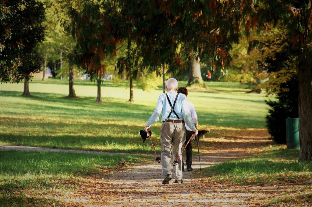 Wandelroutes in Ridderkerk